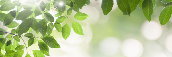 Reclaim Your Calm and Your Health: How HRV Biofeedback Can Rebalance Your Nervous System for Healing and Performance.